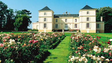 Our wine-producing sites