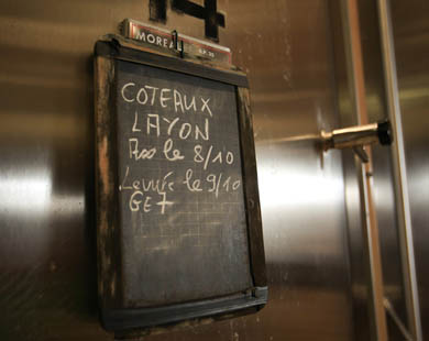 A terroir named excellence